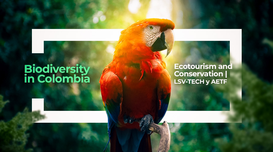 Blog - Biodiversity in Colombia: Ecotourism and Conservation | LSV-TECH